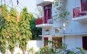 Falcon Guest House